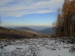 silvestr 2019